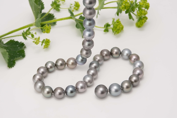 Tahitiperlcollier Naturfarben grau,- multicolor Obertöne